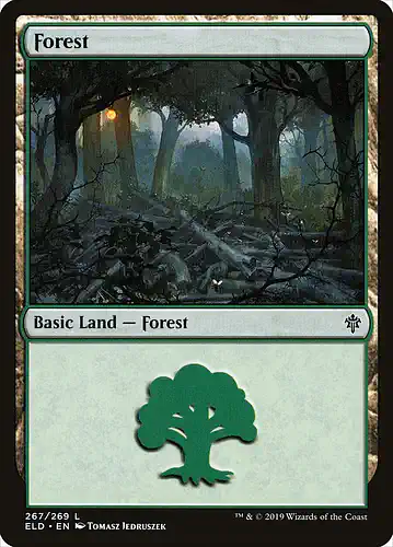 Forest - eld Spoiler