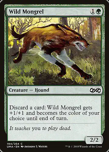 Wild Mongrel - uma Spoiler