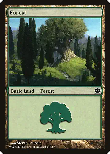 Forest - ths Spoiler