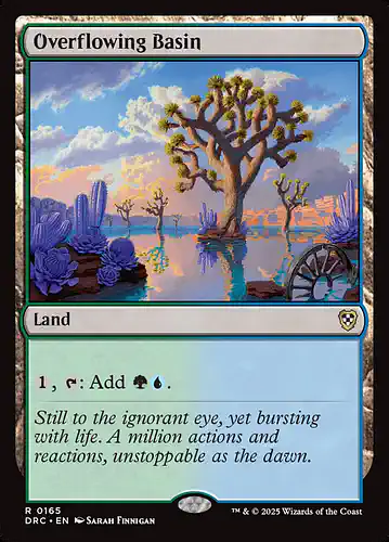 Overflowing Basin - drc Spoiler