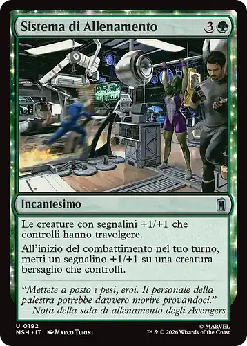 Training Regimen - msh Spoiler