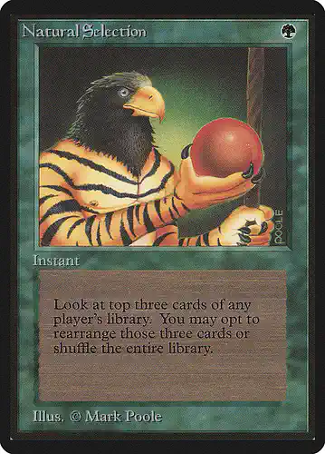 Natural Selection - leb Spoiler