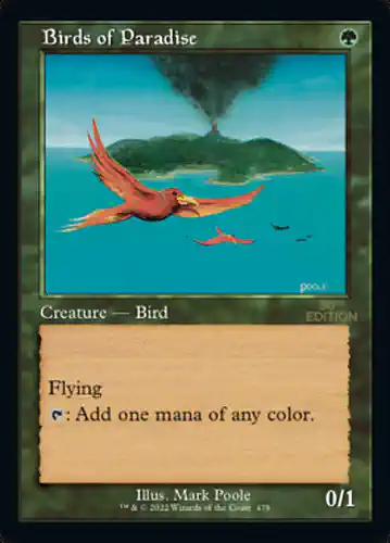 Birds of Paradise - 30a Spoiler