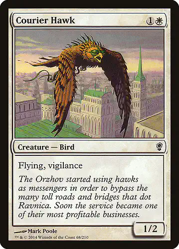 Courier Hawk - cns Spoiler