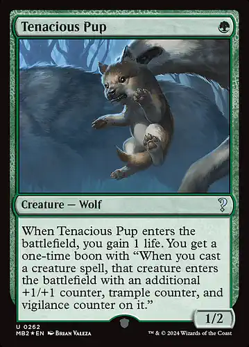 Tenacious Pup - mb2 Spoiler