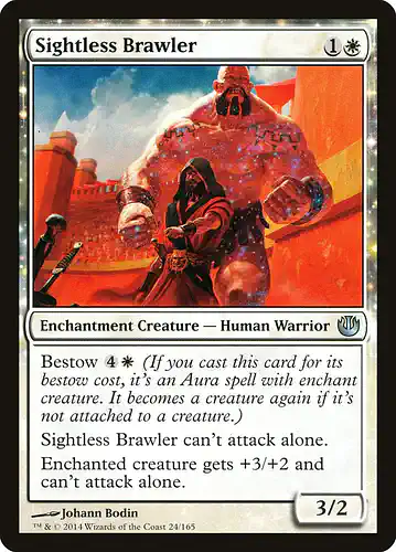 Sightless Brawler - jou Spoiler