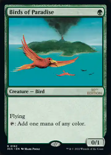 Birds of Paradise - 30a Spoiler