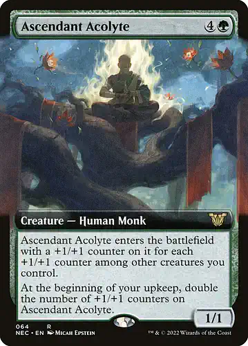 Ascendant Acolyte - nec Spoiler