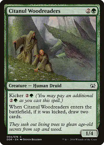 Citanul Woodreaders - ddr Spoiler