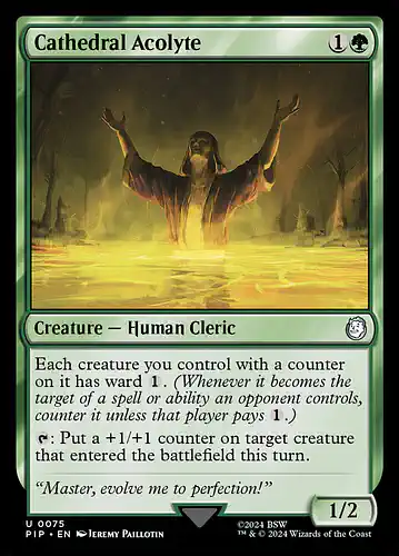 Cathedral Acolyte - pip Spoiler