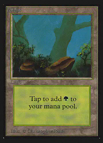 Forest - ced Spoiler