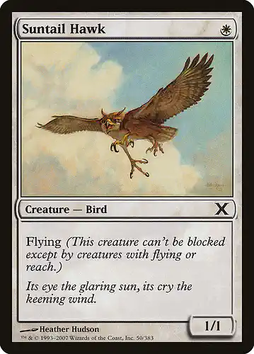 Suntail Hawk - 10e Spoiler