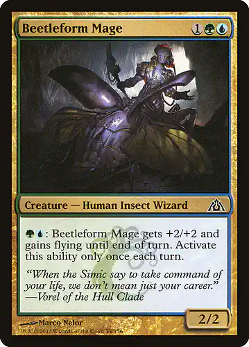 Beetleform Mage - dgm Spoiler