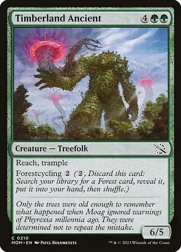 Timberland Ancient - mom Spoiler