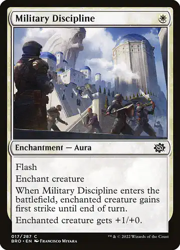 Military Discipline - bro Spoiler