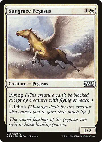 Sungrace Pegasus - m15 Spoiler