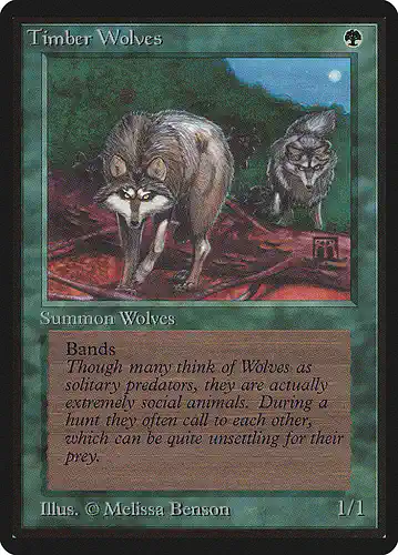 Timber Wolves - leb Spoiler