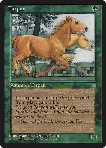 Tarpan - ice Spoiler