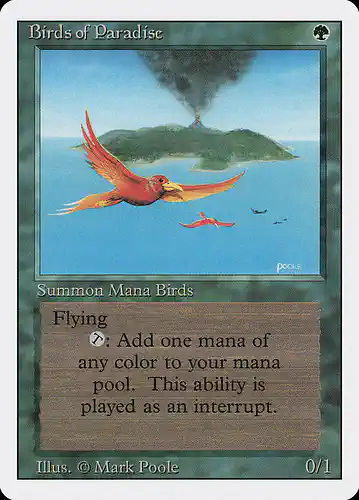 Birds of Paradise - 3ed Spoiler