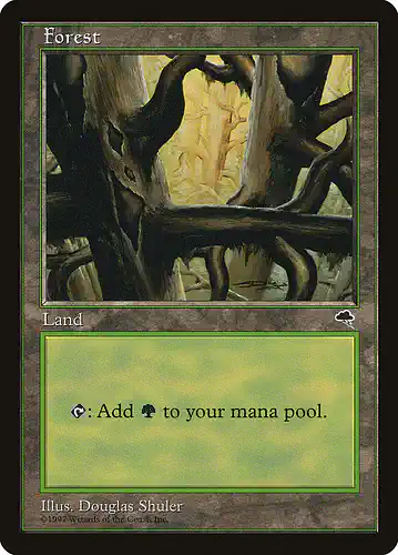 Forest - tmp Spoiler
