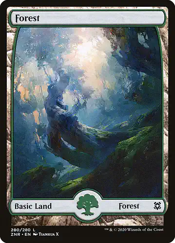 Forest - znr Spoiler
