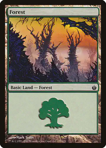 Forest - mbs Spoiler