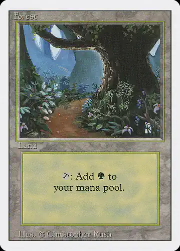 Forest - 3ed Spoiler