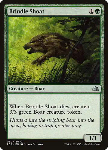 Brindle Shoat - pca Spoiler