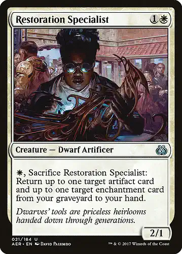 Restoration Specialist - aer Spoiler