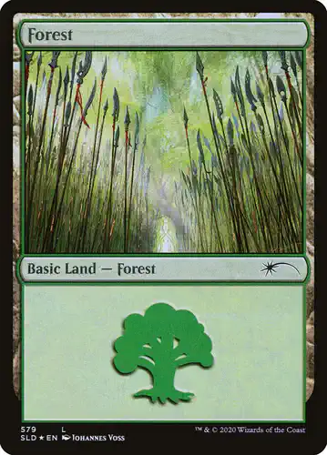 Forest - sld Spoiler