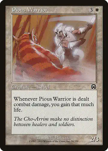 Pious Warrior - mmq Spoiler