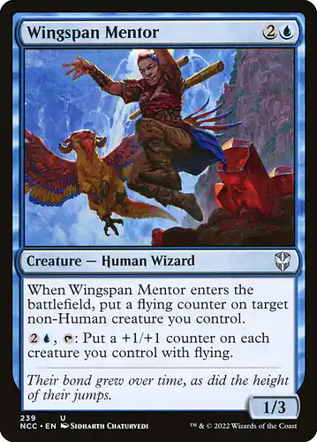 Wingspan Mentor - ncc Spoiler