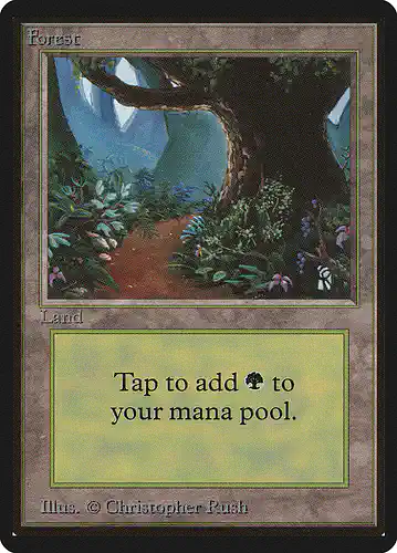 Forest - leb Spoiler