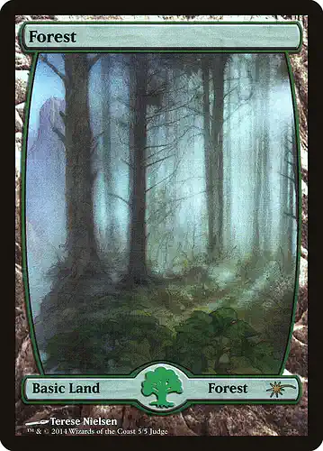 Forest - j14 Spoiler