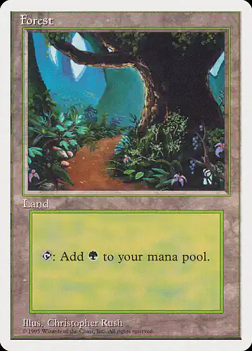 Forest - rqs Spoiler