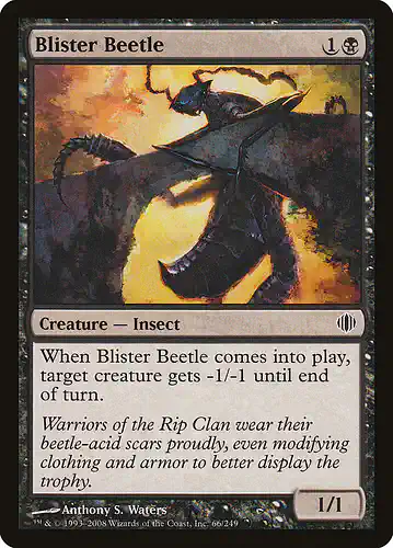 Blister Beetle - ala Spoiler