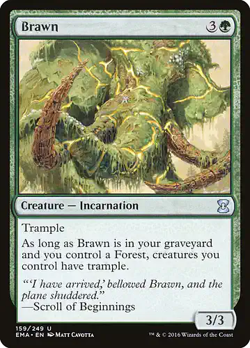 Brawn - ema Spoiler