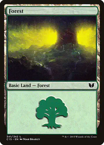 Forest - c15 Spoiler