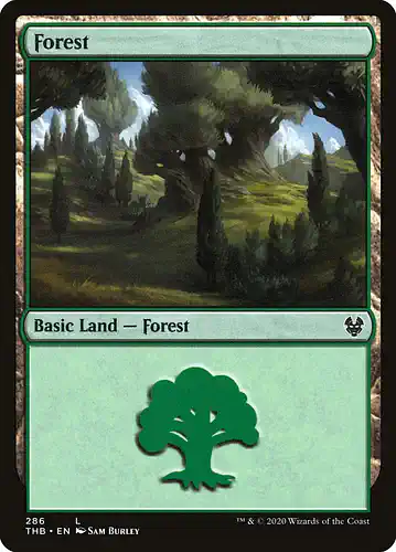 Forest - thb Spoiler