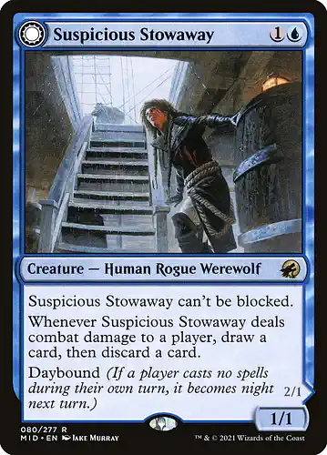 Suspicious Stowaway - mid Spoiler