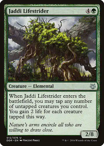 Jaddi Lifestrider - ddr Spoiler