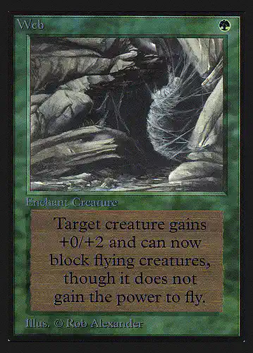 Web - ced Spoiler