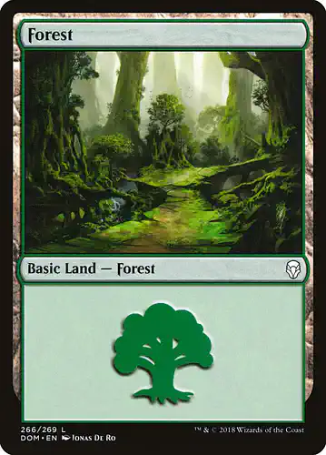 Forest - dom Spoiler