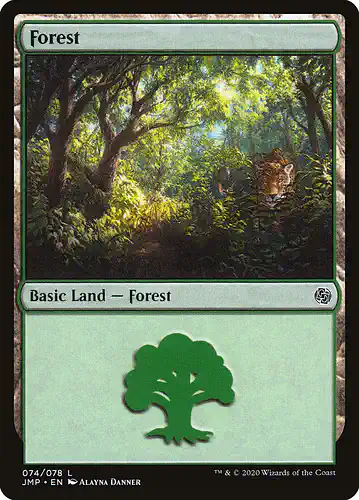 Forest - jmp Spoiler