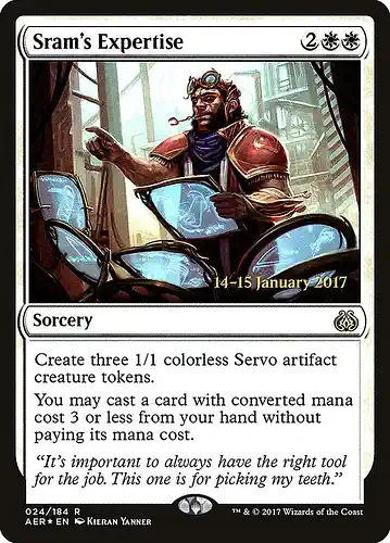 Sram's Expertise - aer Spoiler