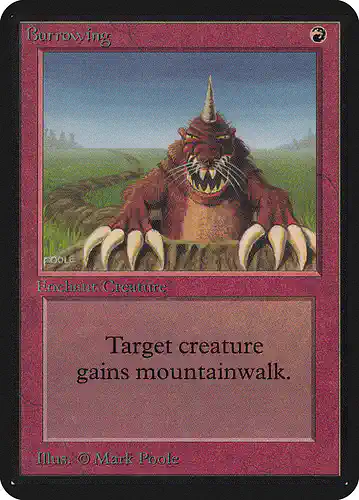 Burrowing - lea Spoiler