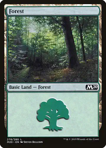 Forest - m20 Spoiler