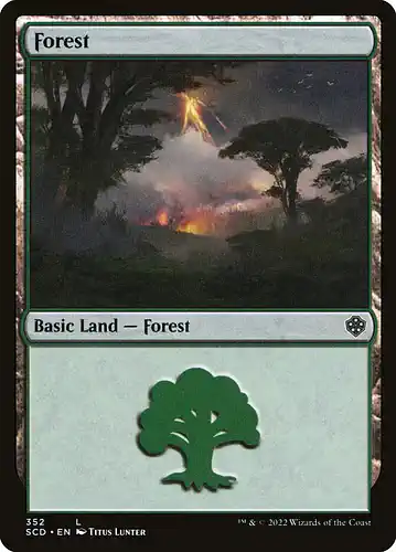 Forest - scd Spoiler