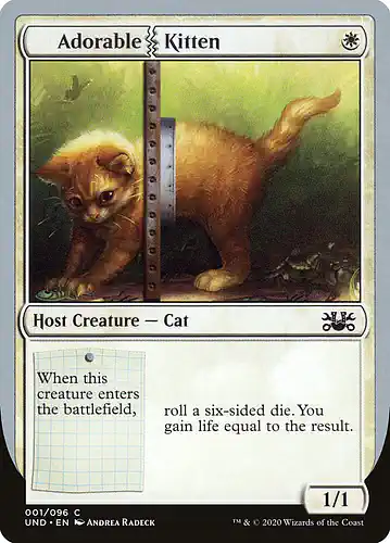 Adorable Kitten - und Spoiler