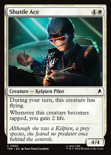 Shuttle Ace - trk Spoiler